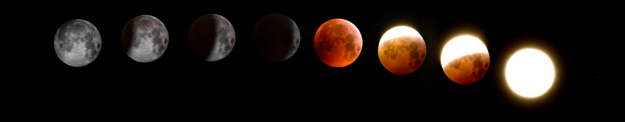 Contact Dr. Divit Astrologer - Book Consultation in Dehradun and Karnal